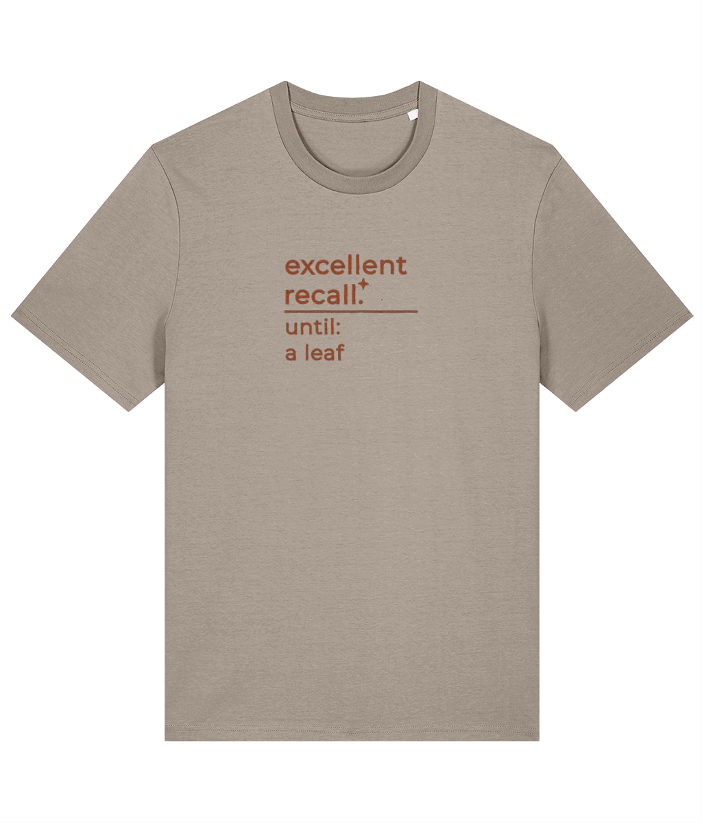 'excellent recall' customisable dog owner slogan t-shirt with back detail outline drawing