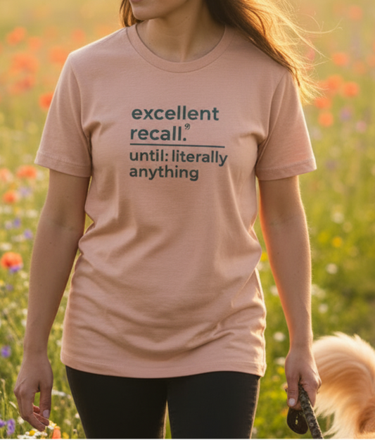 'excellent recall' customisable dog owner slogan t-shirt with back detail outline drawing