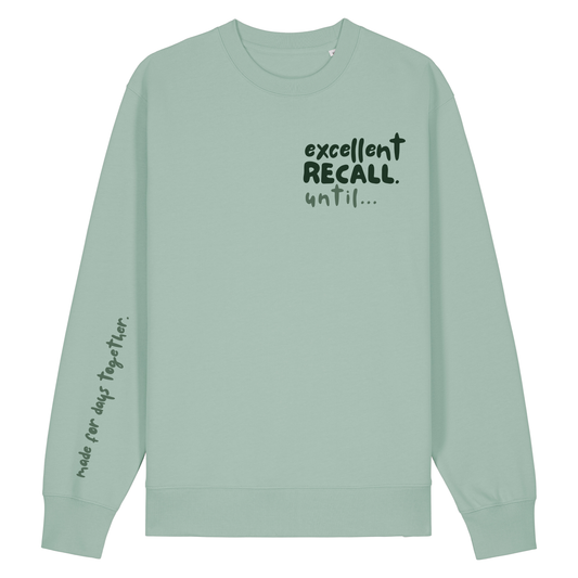 The Doodled Mess 'excellent recall until…’ Sweatshirt 100% organic cotton