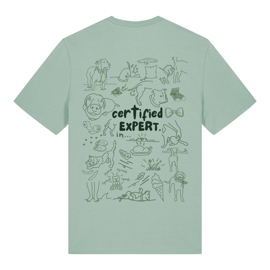 The Doodled Mess ‘certified expert in…’ t-shirt 100% organic cotton